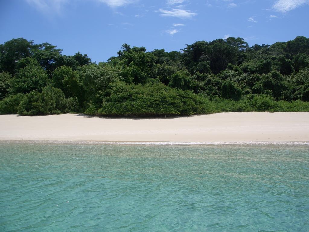 Beautiful Apartment With Terrace Contadora Island Værelse billede