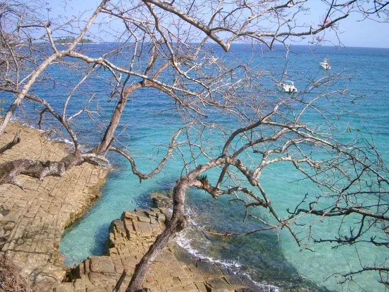 Beautiful Apartment With Terrace Contadora Island Værelse billede
