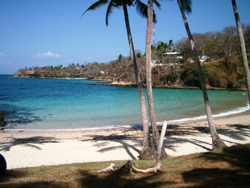 Beautiful Apartment With Terrace Contadora Island Værelse billede